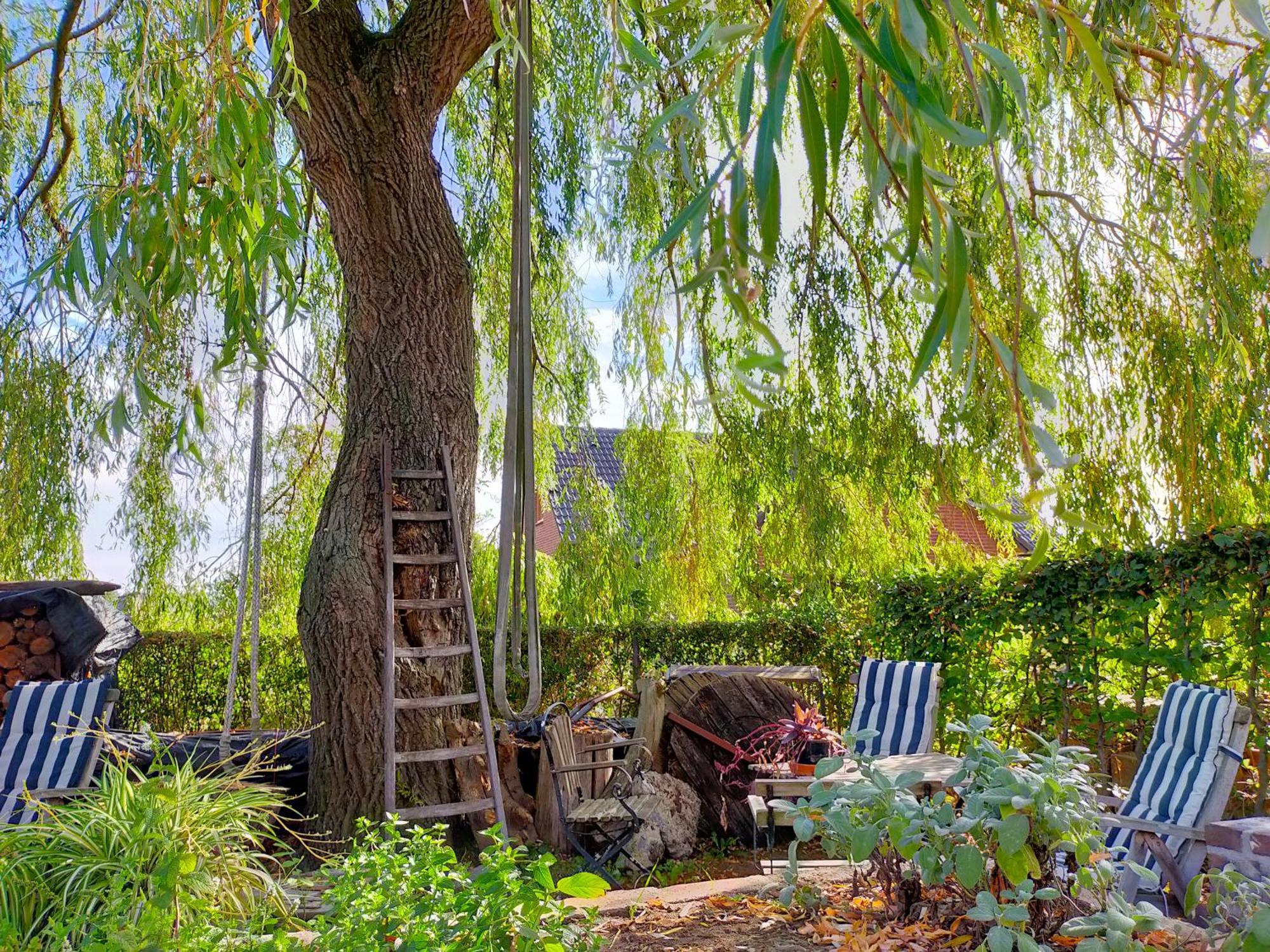 Aan De Molenberg Bed and Breakfast Broekhuizen  Εξωτερικό φωτογραφία