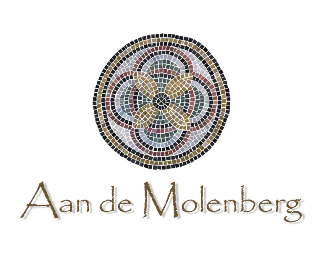 Aan De Molenberg Bed and Breakfast Broekhuizen  Εξωτερικό φωτογραφία